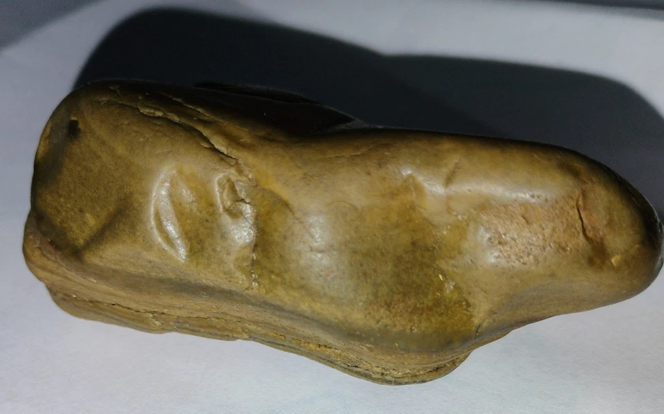 Rana nativa americana Effing del centro de Nebraska Foto 2 de 4