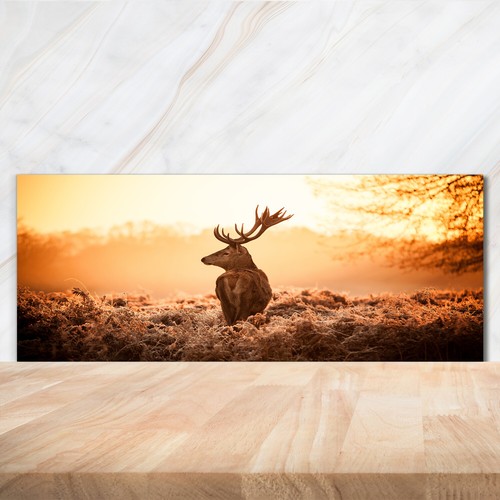 Panneau De Cuisine Sur Verre Tulup – 125x50cm – Motif Lumière Du Soleil – Brun