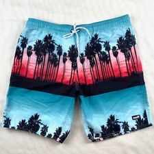 Neff Hot Tub Drawstring Shorts Sz L Swim Trunks