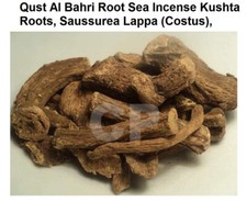 Qust Al Bahri Root Sea Incense Kushta Root Saussurea Lapp Costus 1kg 35.27 OZ 