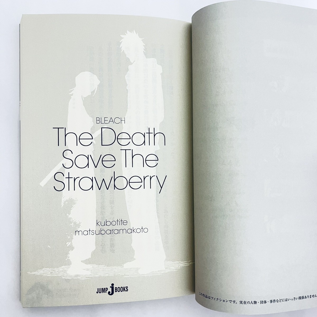 BLEACH The Death Save The Strawberry Japanese Novel by Tite Kubo