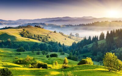 Landscape nature trees fog hills mist Custom Gaming Mat Desk