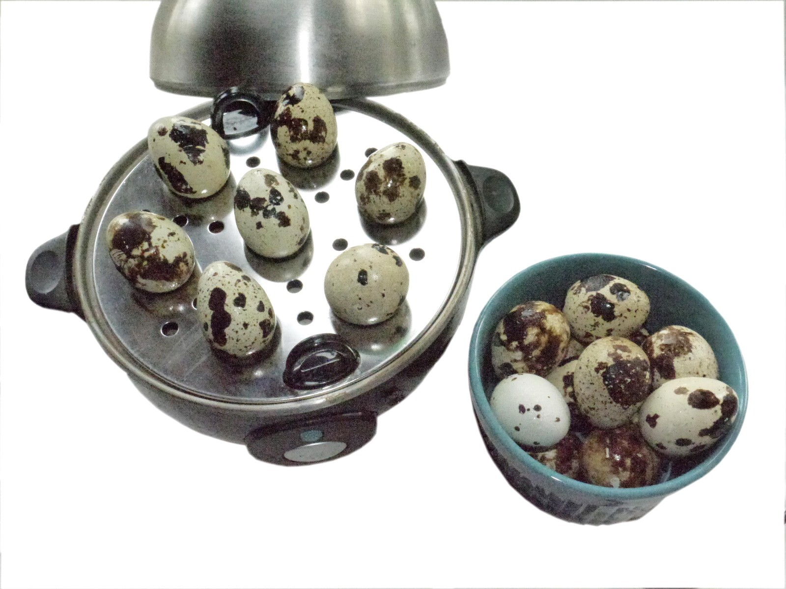 Premier Quail Eggs- Eating Eggs- 4 dozen from our Cage-Free Farm | eBay