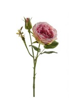 Artplants KüNstliche Blume Rose Cesca, Rosa, 40Cm