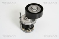 Triscan Spannarm, Keilrippenriemen 8641 293021 FüR Audi Seat Skoda Vw