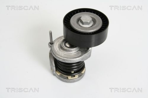 Triscan Spannarm, Keilrippenriemen 8641 293021 FüR Audi Seat Skoda Vw-image