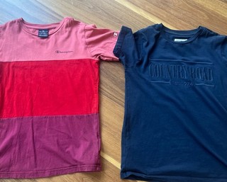 2 X Girls T Shirts Tops Size 12 Champion And Country Road