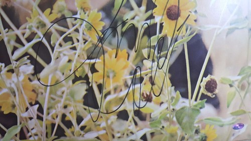 “Both Sides Now” Judy Collins Hand Signed Album Cover COA - Picture 3 of 3