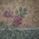 Foto 3 di 10