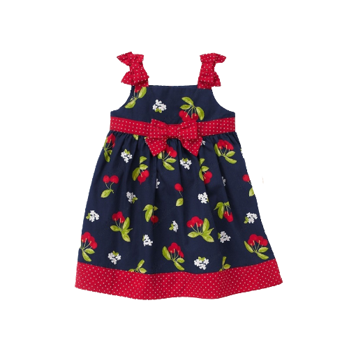 New Gymboree Baby/Toddler Girls Dress Pick Size & Color - Picture 13 of 13