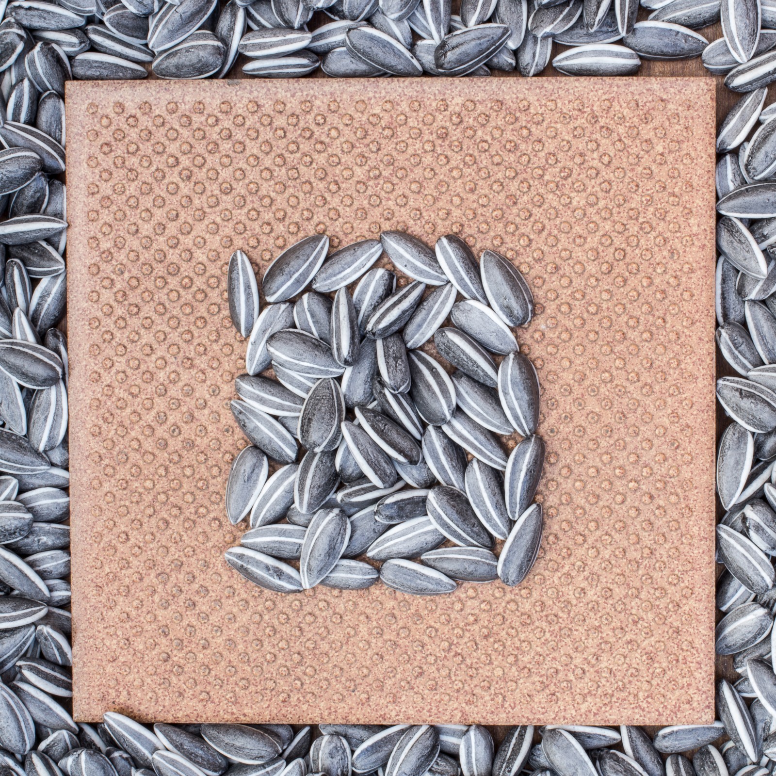 10 x Ai Weiwei Ceramic Sunflower Seeds eBay