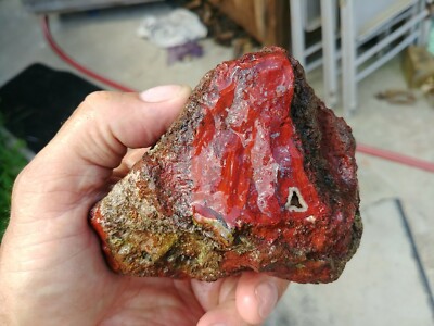  Brenda Jasper Rough Jasper Rough Slab  564 gms 