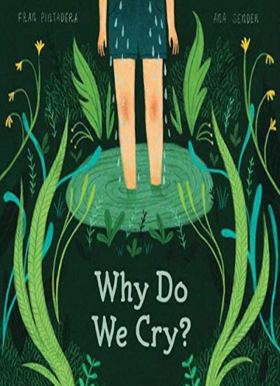 Why Do We Cry? by Fran Pintadera 9781525304774 NEW Free UK Delivery - Image 5