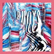 Panda Bear Buoys Music CDs New