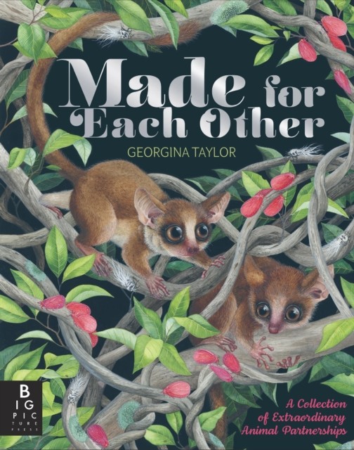 Made for Each Other by Joanna McInerney (Hardback Book)