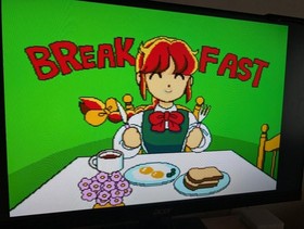 Mega CD game 4 title set #5fcf1d