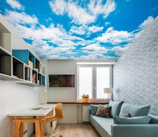 XXL 312cm x 219cm (WxH)【123”x87”】 ·Materials: Vinyl (rg)