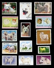 SAMOYED WHITE SPITZ DOG INTERNATIONAL POSTAGE...