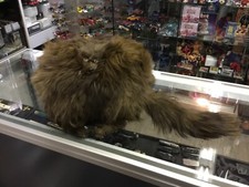 Vintage real Fox Fur Muff Hand Warmer With extra tail, needs work