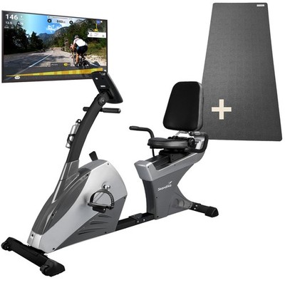 Skandika Centaurus Liege-Ergometer 13 kg Schwungmasse Bluetooth schwarz/grau NEU