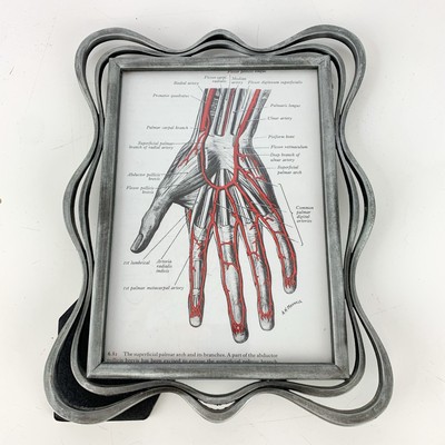 Vintage Silver Metal Frame Anatomical Nerves Of Hand Grays Anatomy Book Print