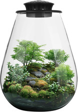Mini Desktop Glass Plant Terrarium with Grow Light - Planter for Succulent Moss