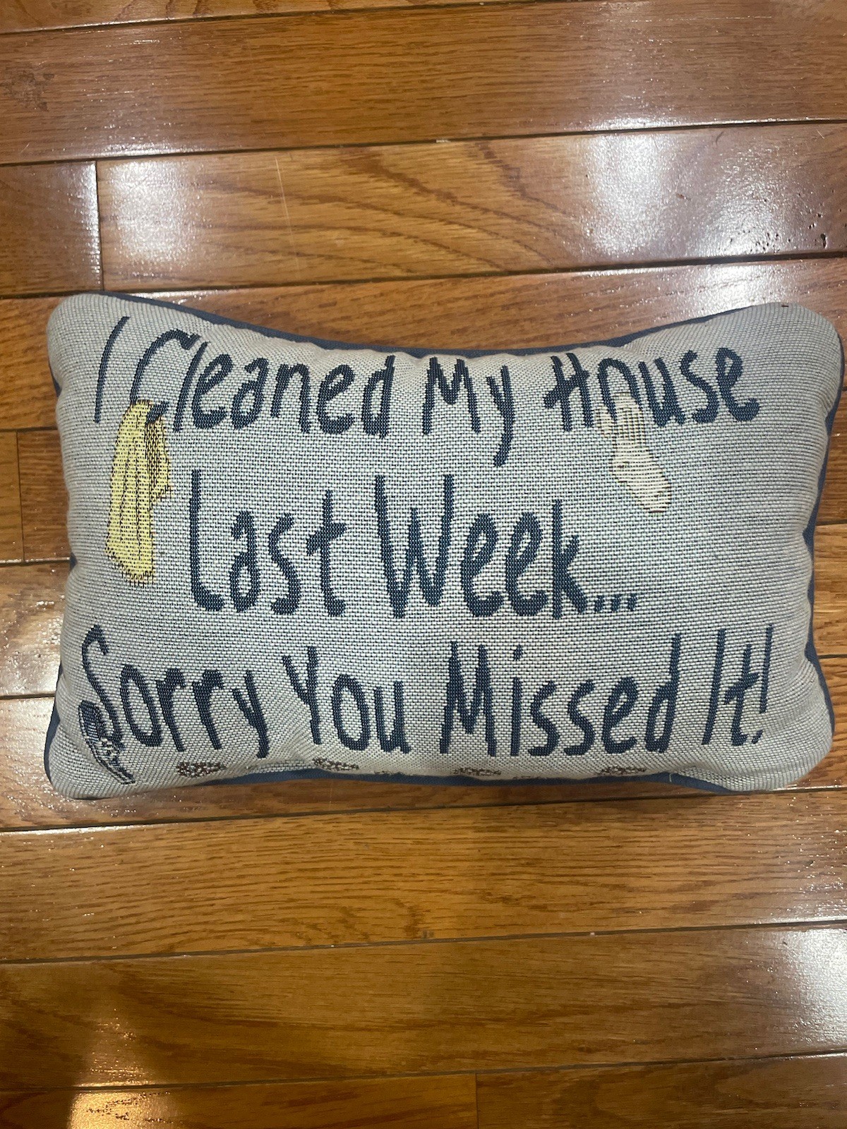 Tapestry Throw Pillow I Cleaned my House Last Week You Missed It.  Decorative 