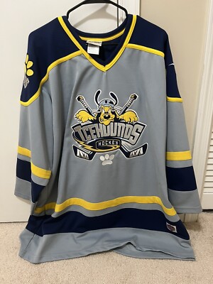 Vintage Walt Disney World Ice Hounds Pluto Hockey Jersey Gray