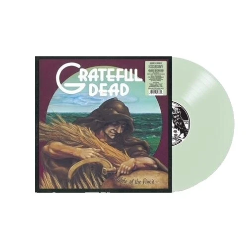 Folk rock discos de vinilo de velocidad de 33 RPM