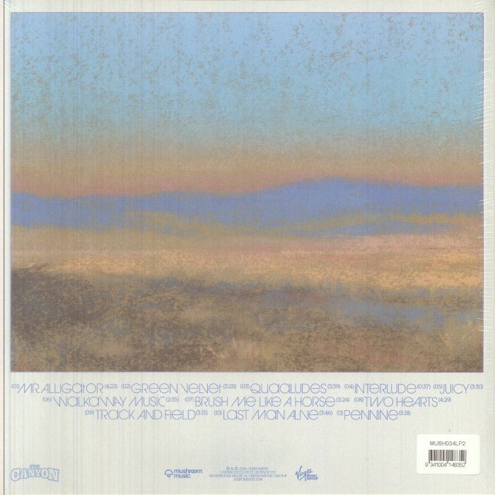 JJEROME87 - The Canyon - Vinyl (orange vinyl LP) - Image 4