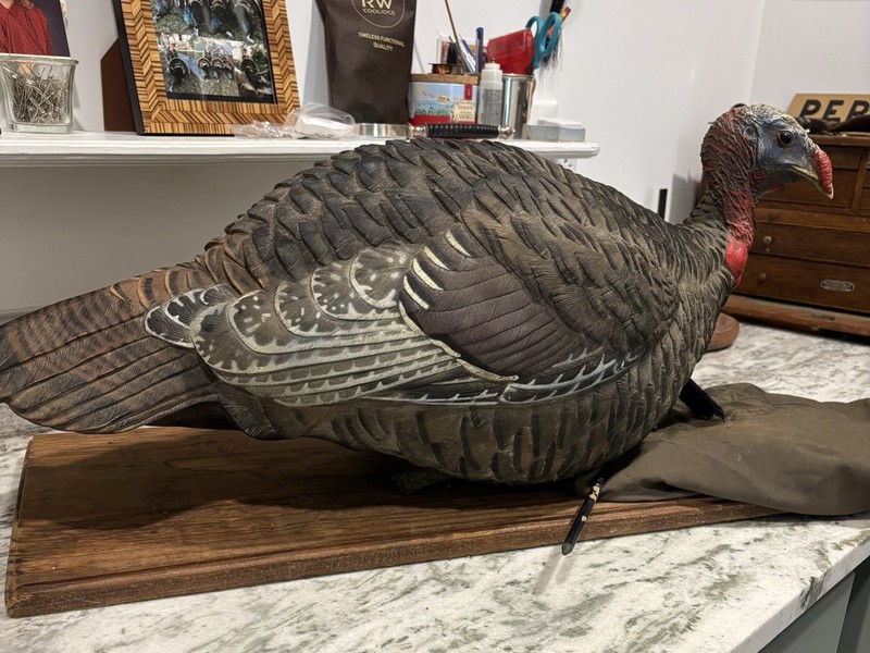 AvianX Jake Decoy 