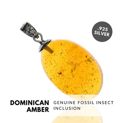 GNAT - Natural Dominican Amber Pendant, Fossil Inclusion, Sterling Silver