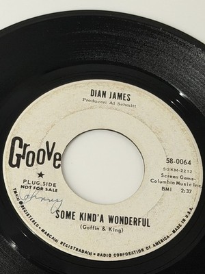 DIAN JAMES-SOME KIND OF WONDERFUL-1965 GROOVE REC PROMO DRIFTERS COVER LISTEN
