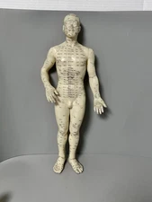 VTG 19” Tall Acupuncture Acupressure Male Model Doll Rubber Silicone Body Oddity
