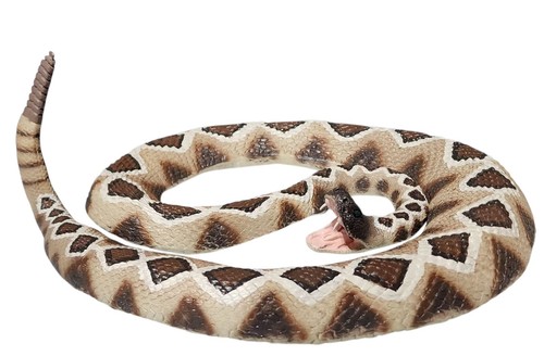 Vtg Large 1995 Safari LTD The Rattler Dimond Back Rattlesnake With Rattling Tale