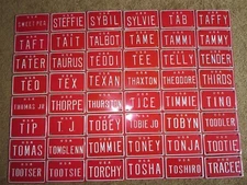 U S A Mini Bike Bicycle Vanity Metal Red License Plate Sign Sweet Pea -Tracee