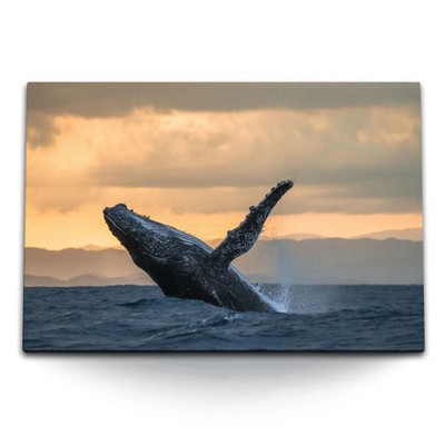 120x80cm Wandbild auf Leinwand Buckelwal Wal Meer Ozean Horizont