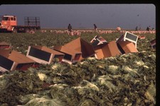 SL26 Slide 1980 Omaha Lettuce Harvest Farm Workers Aggio Farm Truck 523a