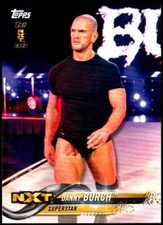 2018 Topps WWE Then Now Forever Wrestling Base Singles (Pick Your Cards)