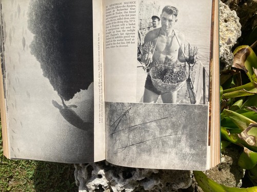 Jacques Cousteau Book The Silent World 1953 with first Underwater Color Photos - Picture 22 of 24