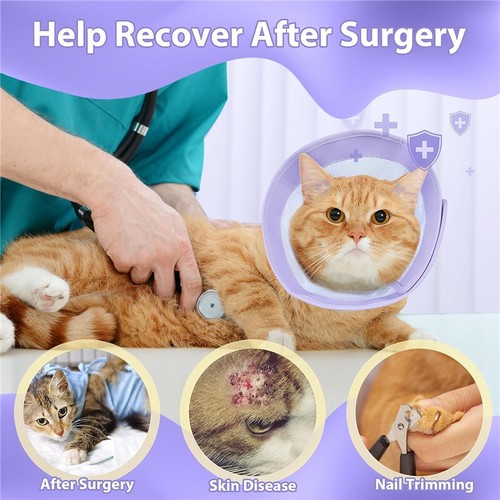 Pet Dog Cat Anti-lick Elizabethan Protective Collar Cone Wound Healing Recovery - Picture 11 of 15