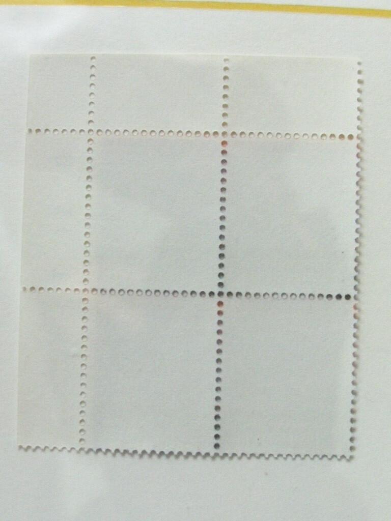 Picture 4 of 4