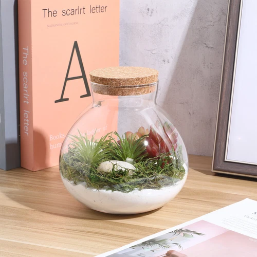 Empty Glass Jar Glass Bottle Diy Micro-landscape Bottle Ecological Bottle - Picture 4 of 11