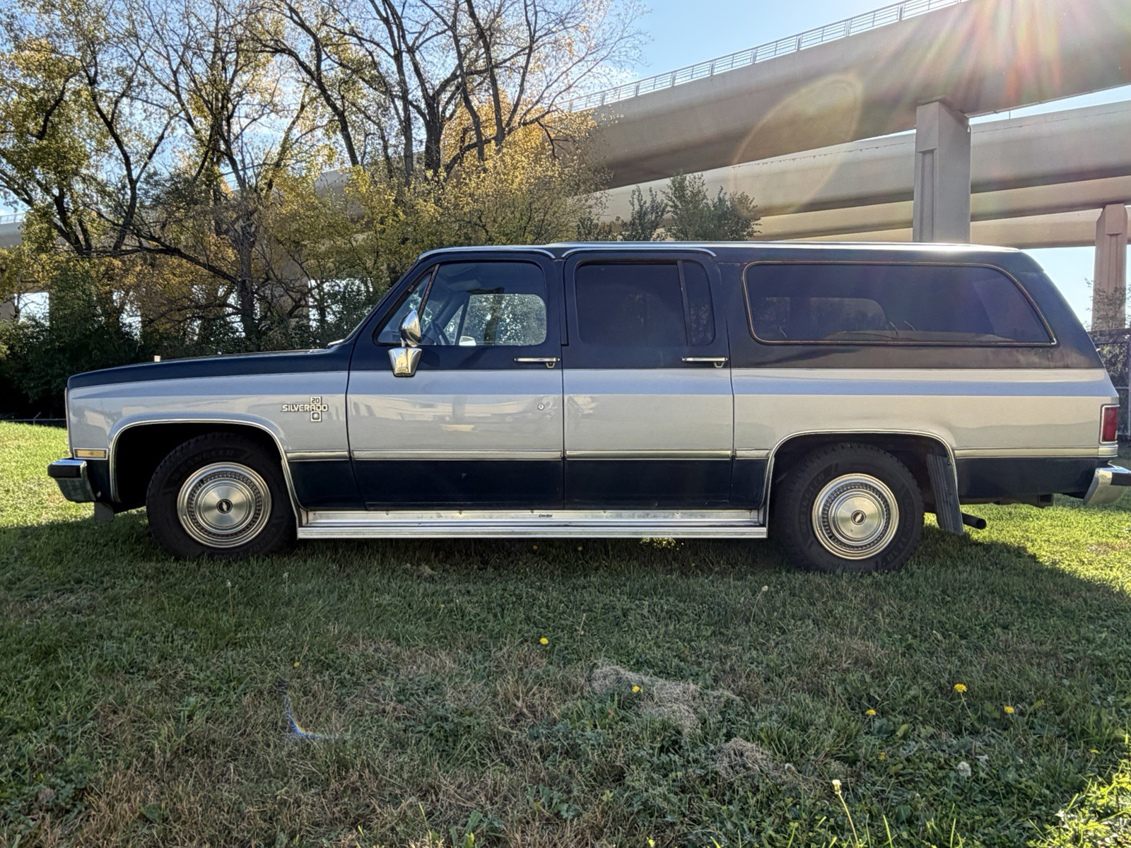 1985 Chevrolet C20 for sale in Stillwater Minnesota
