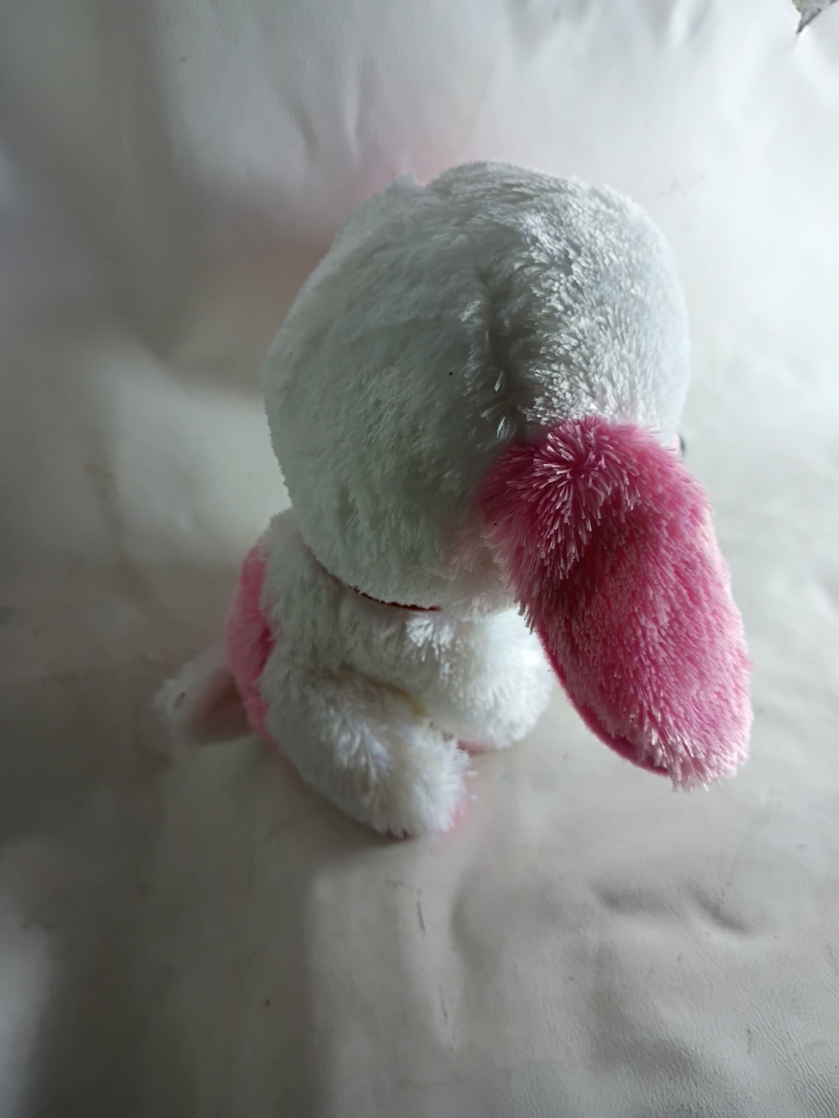 Bild 7 von 12