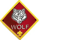 BOY CUB SCOUT OFFICIAL LICENSED WOLF RANK HIKING STAFF STAVE MEDALLION BRAND NEW