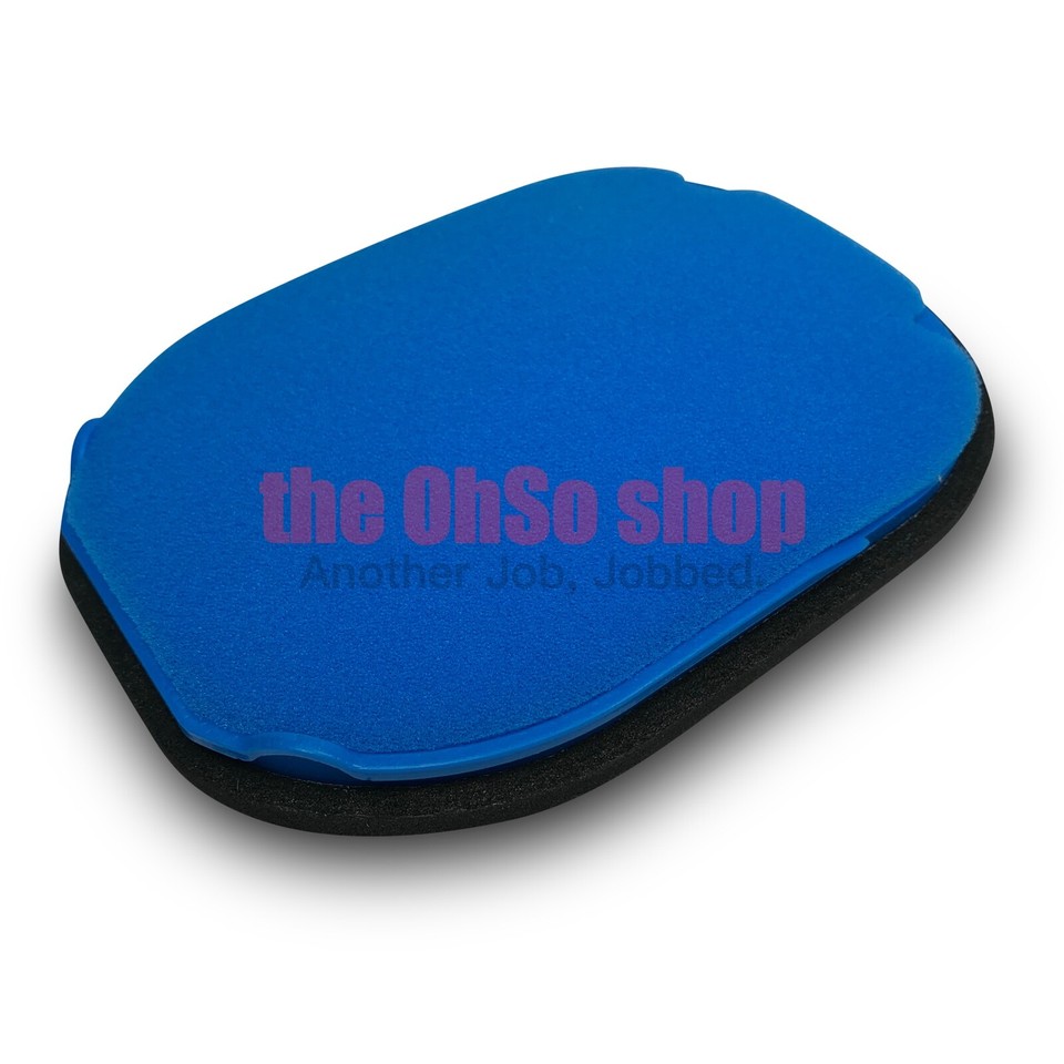 Dyson DC16 Animal Handheld Vacuum Cleaner PreMotor Filter Washable eBay