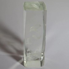 Glasquader Briefbeschwerer 3D Laser Gravur Delfine Glasblock Figur Maritim 14,5c