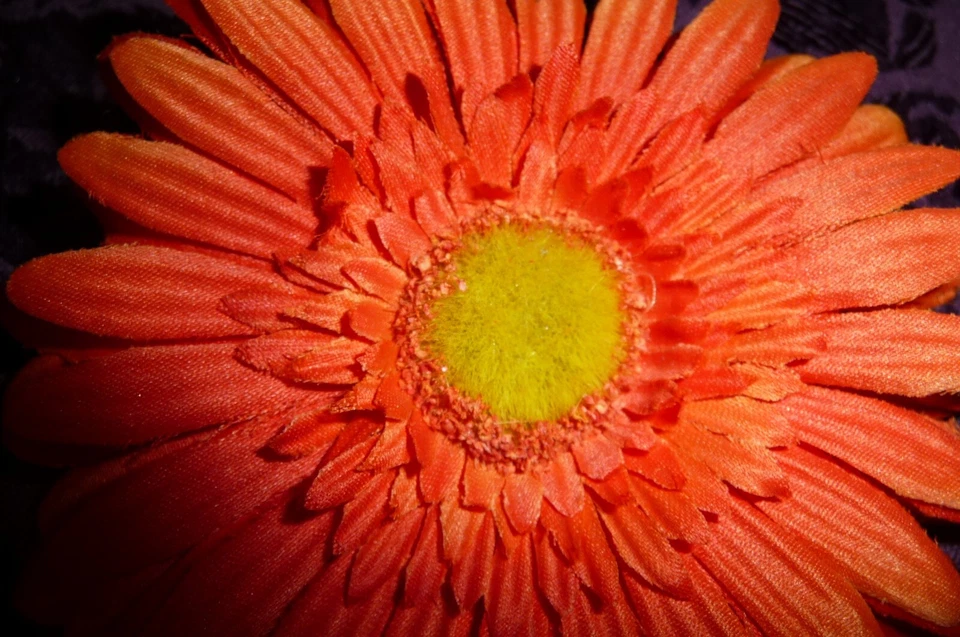 Pinza de pelo flor de seda artesanal naranja amarillo margarita 4 1/2" nueva sin etiquetas Foto 2 de 3