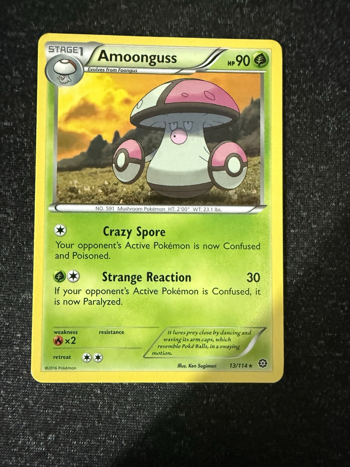Amoonguss 13/114- Steam Siege- Regular Rare- LP
